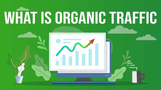 Organic Traffic là gì? Cách tăng chỉ số Organic Traffic hiệu quả nhất 2023