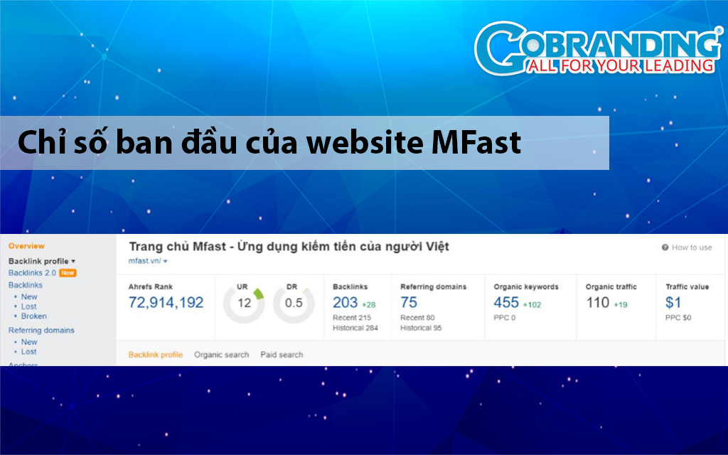 Dịch vụ tăng traffic website giá rẻ Gobranding