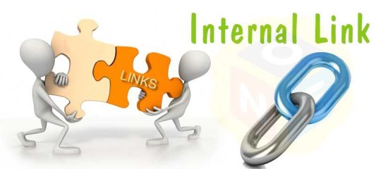 Internal link là gì