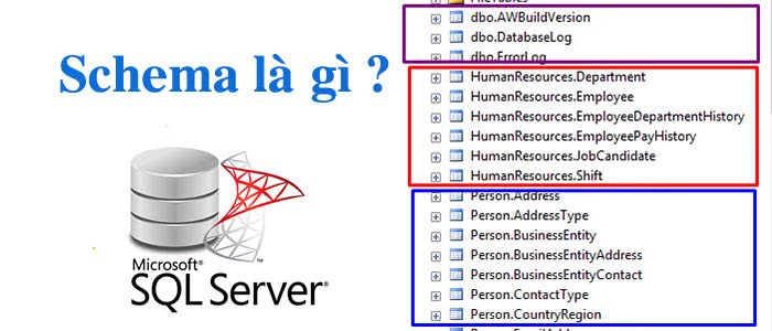 Schema là gì?