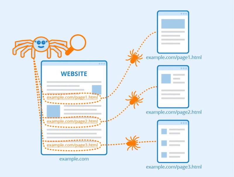 Web Crawler là trình thu thập thông tin web