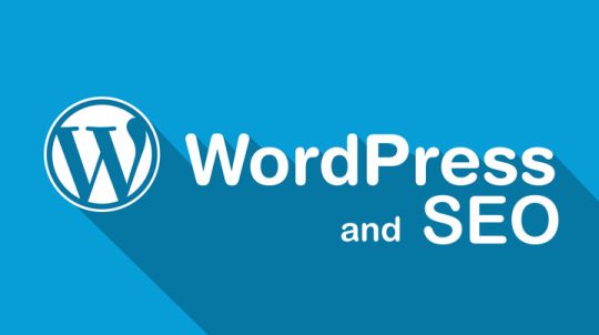 seo cho wordpress