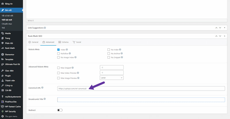 Cài đặt Canonical Tag trong WordPress