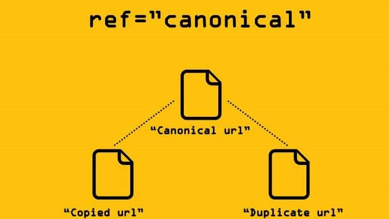 Đặt thẻ Canonical trong phần Body