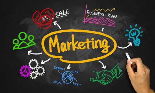 các hình thức marketing