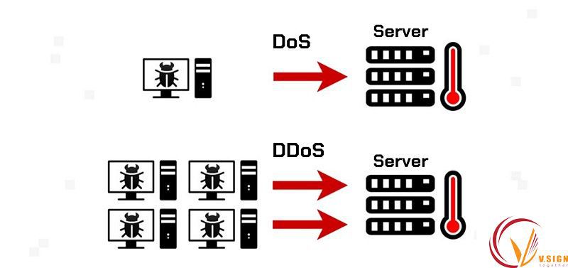 khác biệt ddos