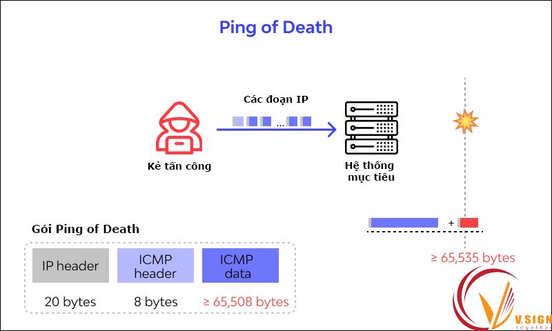 tác hại ddos