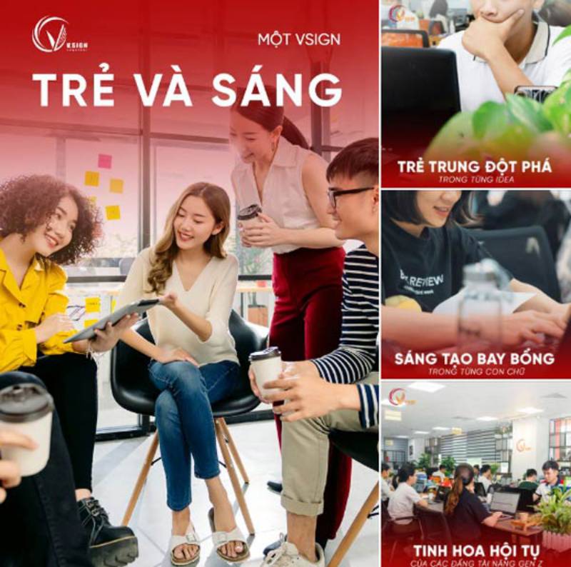 vsign tư vấn toàn diện